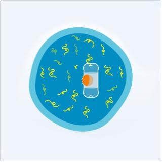 Illustration of NINLARO® (ixazomib) entering the cell and binding to proteasomes.